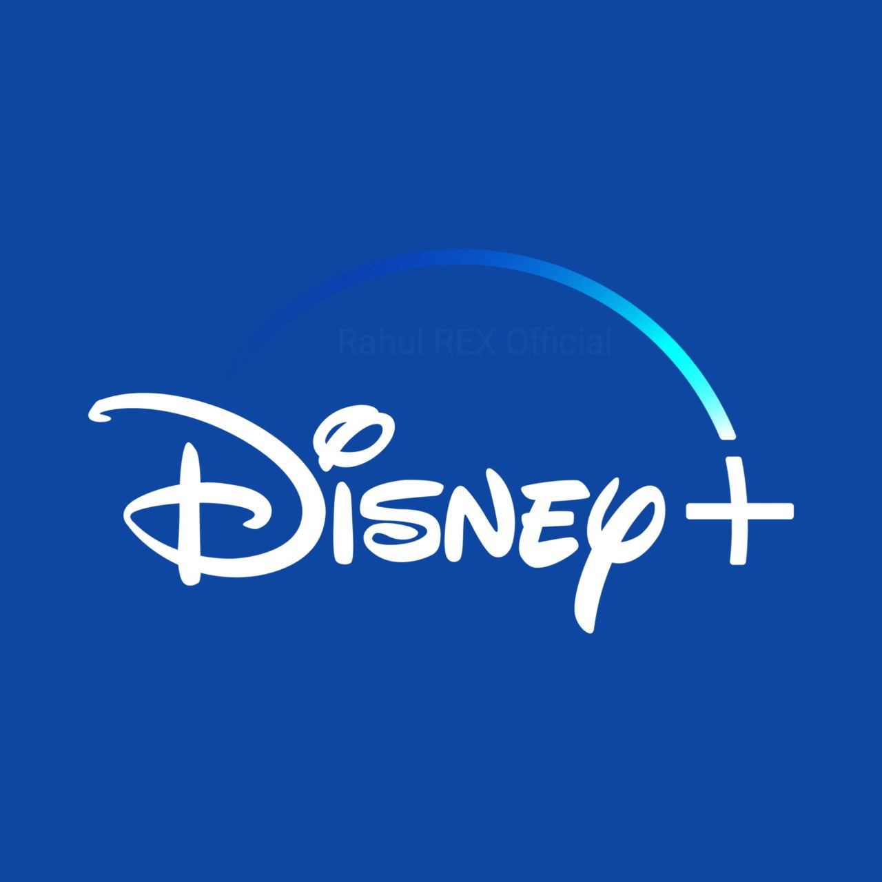 Disney+ Premium 1 Perfil - (Aut)